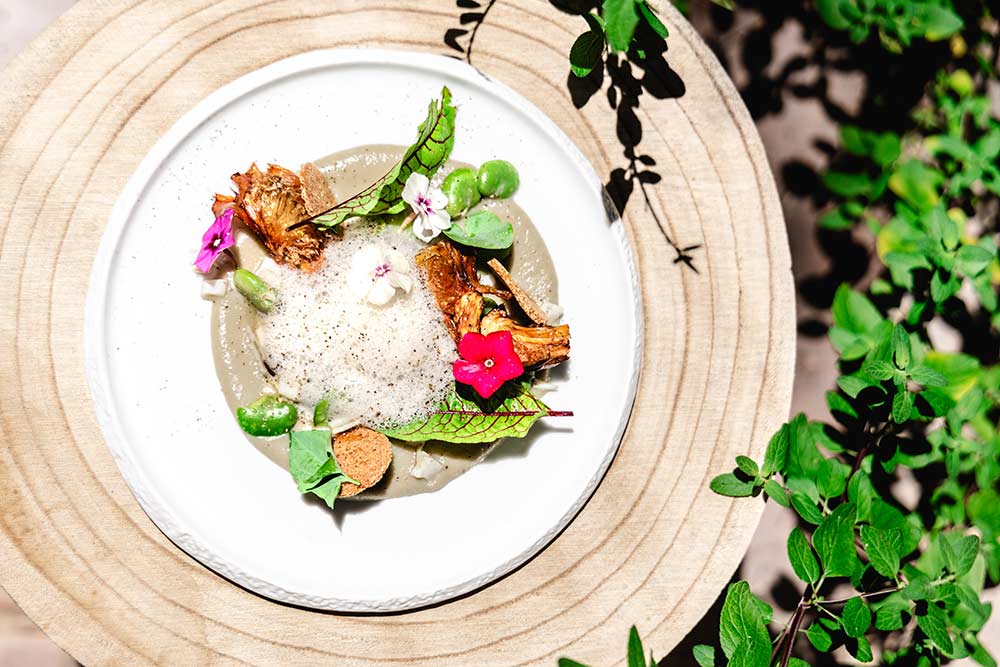 Moulin de Cambelong - Crème d’artichauts, artichauts frits, couteaux façon marinière et écume marinière.