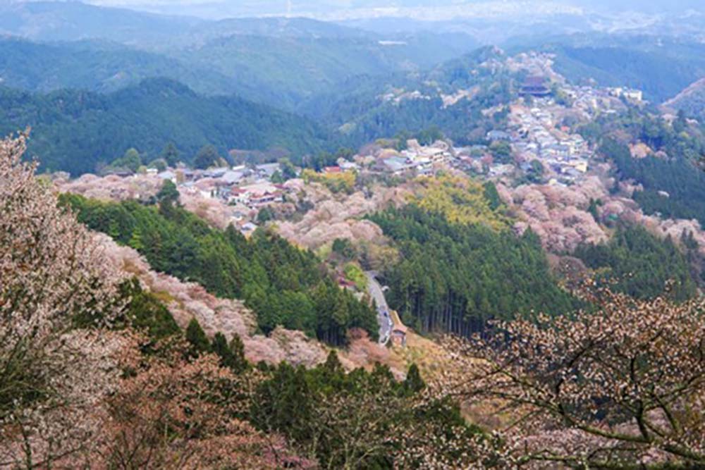 Hanayagura et son observatoire