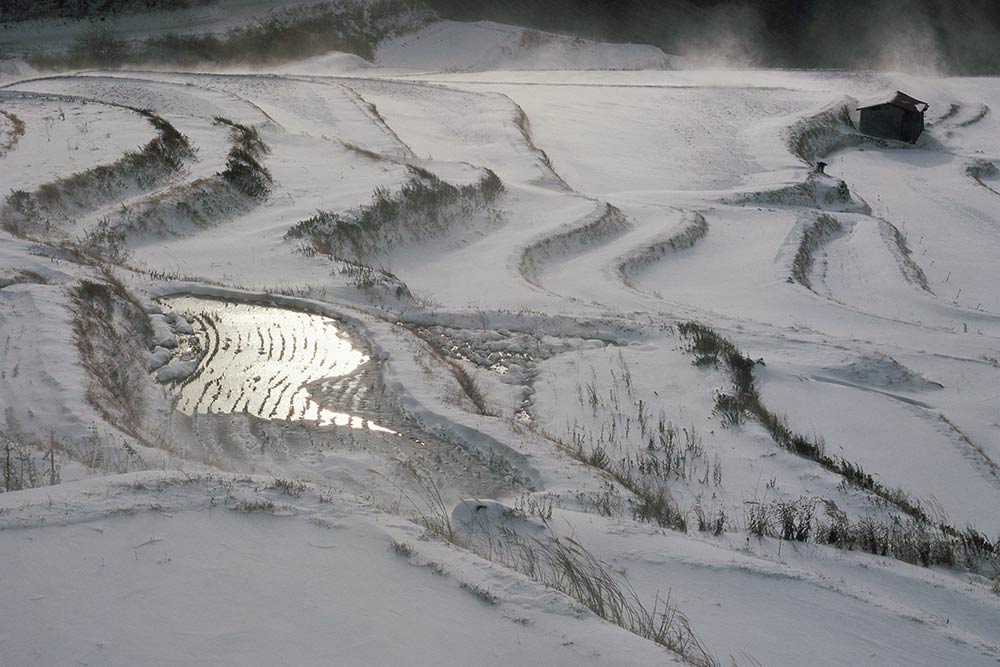 Japon - Betsugu rice terraces Yabu shi