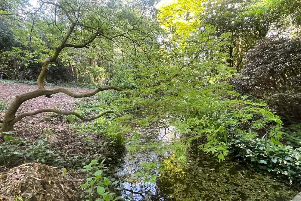 La Feuillerie - Un tableau romantique