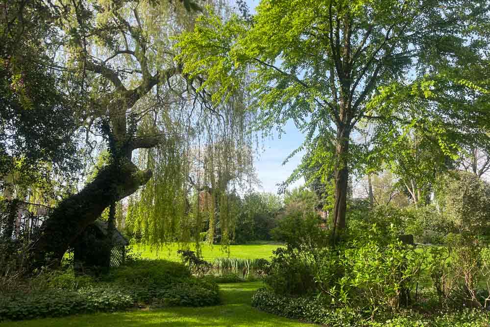 La Feuillerie - Saule pleureur et ouverture sur le plan d’eau