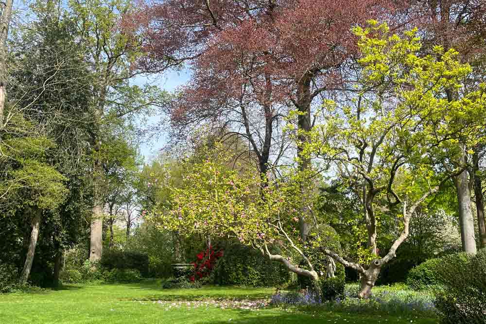 La Feuillerie - Arbres au printemps