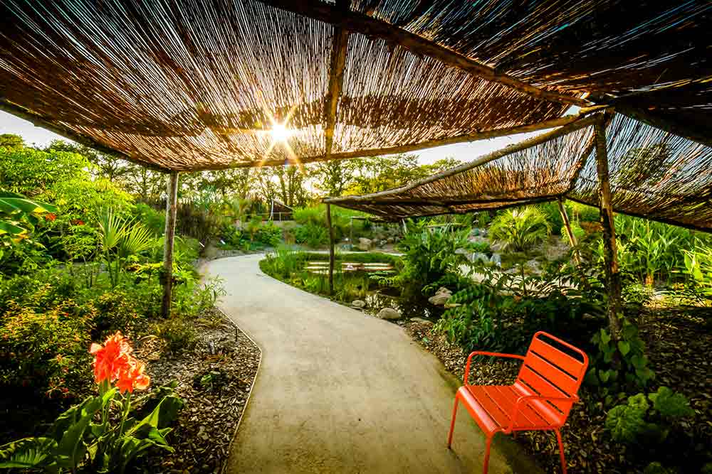 Le Potager Extraordinaire - Le potager exotique.