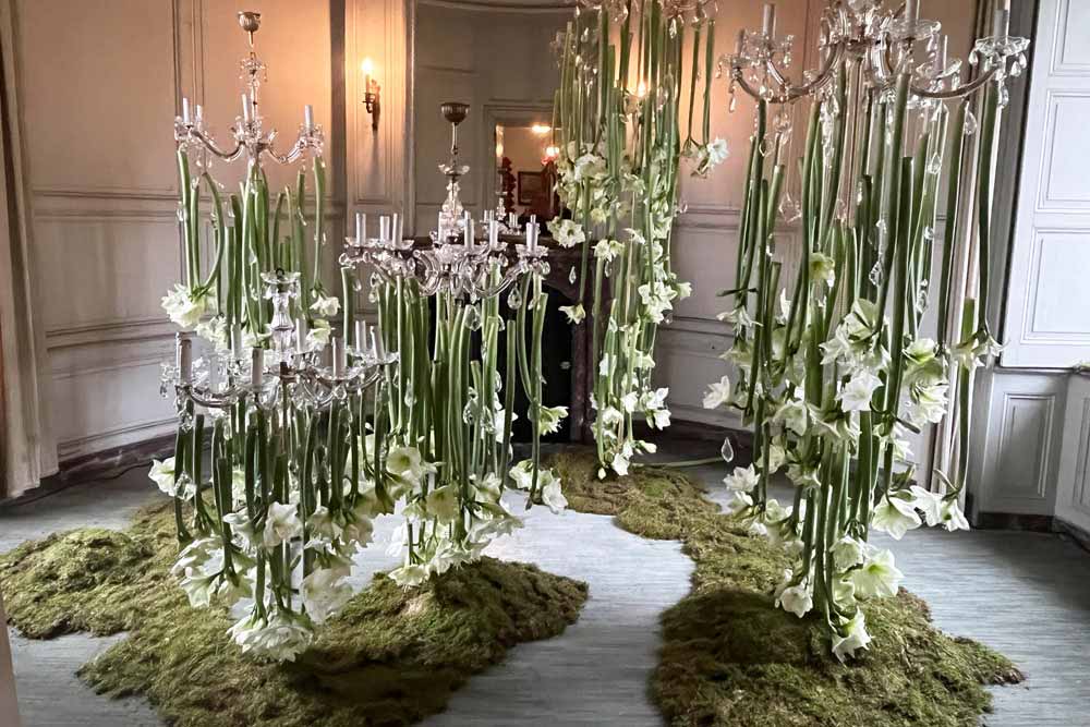 Intallation d’amaryllis au château de Beloeil