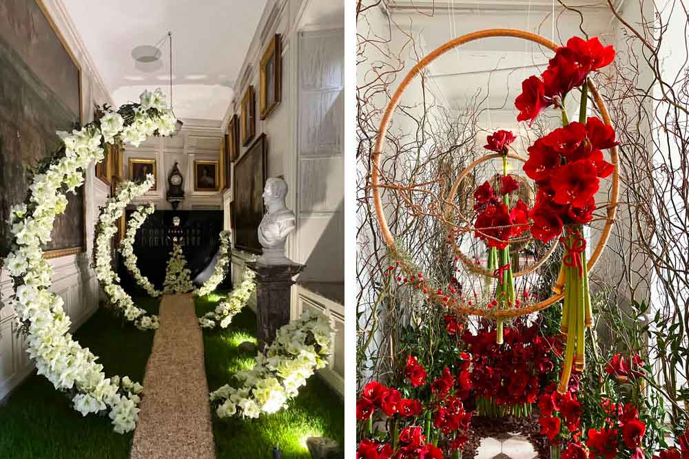 Deux installations d’Amaryllis (expo Beloeil 2026)