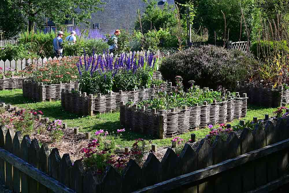 Château de la Roche-Jagu : des plantes aromatiques.