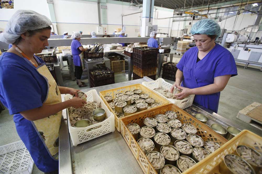 Pêche durable - Les poissons sont débarqués et traités immédiatement.