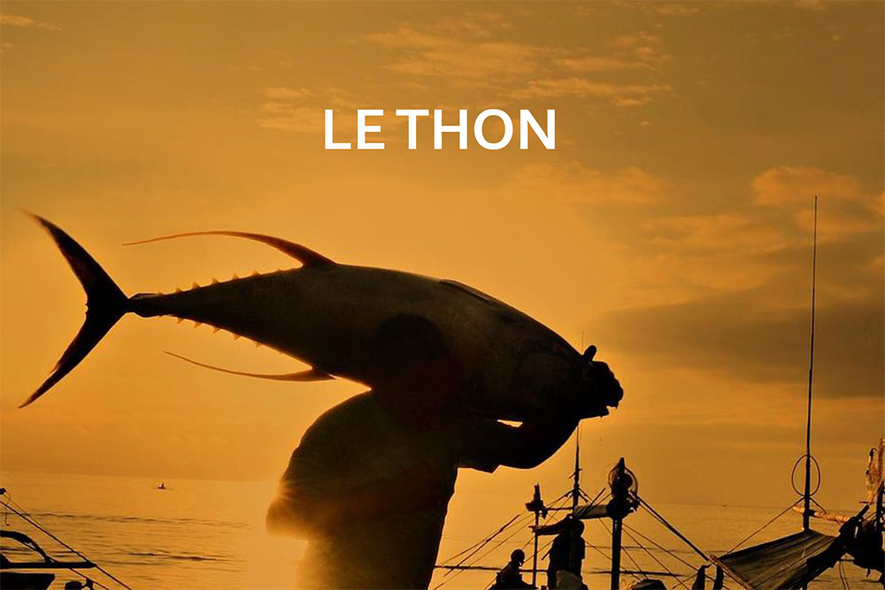 Pêche durable - Le thon est pêché à la ligne.