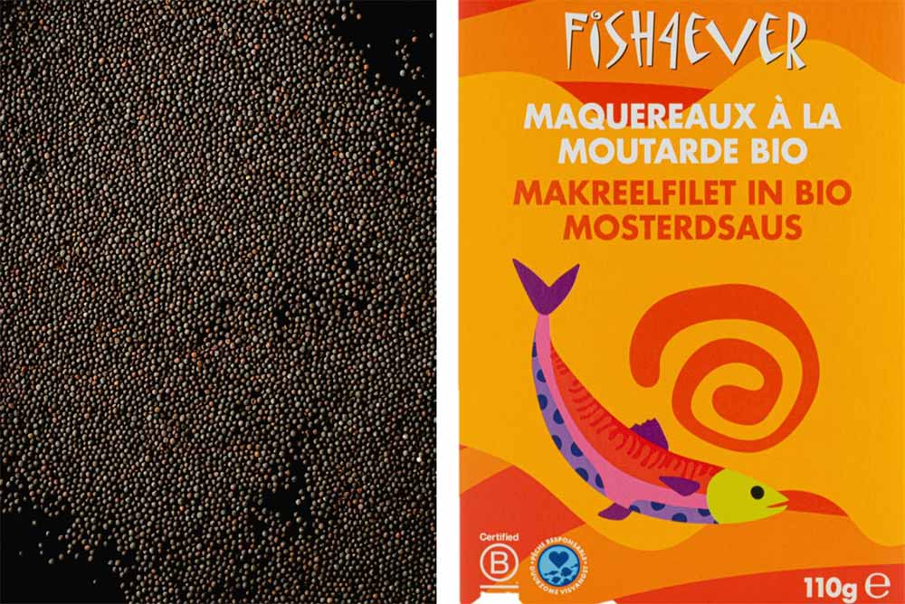 Pêche durable - Le maquereau est bon pour la santé.