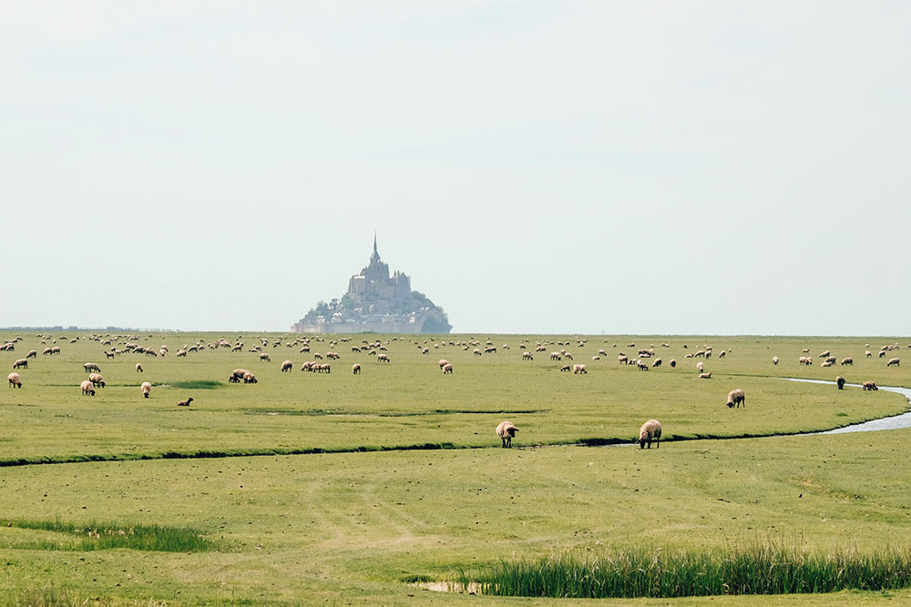 Villes Sanctuaires - Une ville sanctuaire, une histoire pleine de rebondissements depuis le Moyen-Âge.