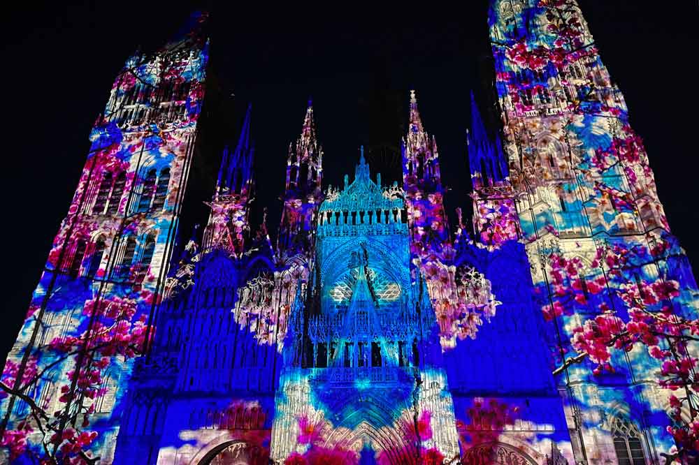 « Floraison sauvage » par Mika Ninagawa (cathédrale de Rouen)