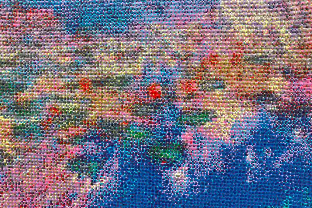 Claude Monet - Détail de nymphéa, Water Lilies (en lego) d’Ai Weiwei (MUMA, le Havre)