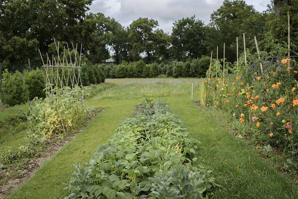Manoir de la Régate - Le potager du Manoir.