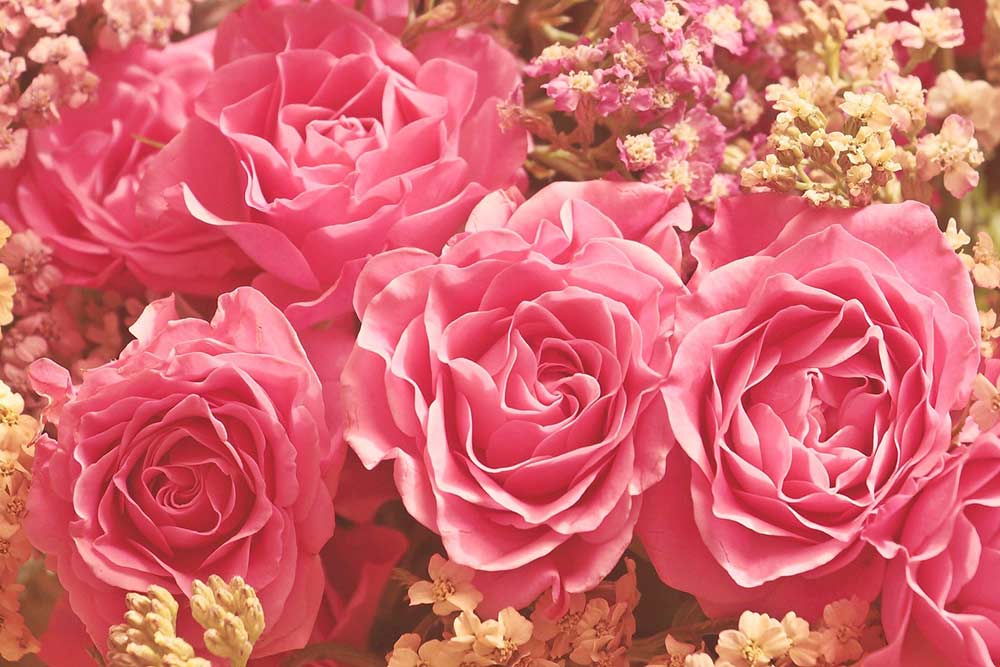 La Rose en Note de Coeur.