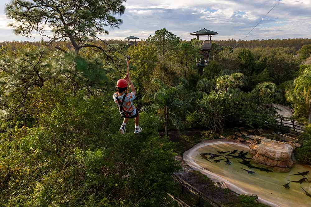 A gatorlande Ziplining, la tyrolienne a un franc succès.