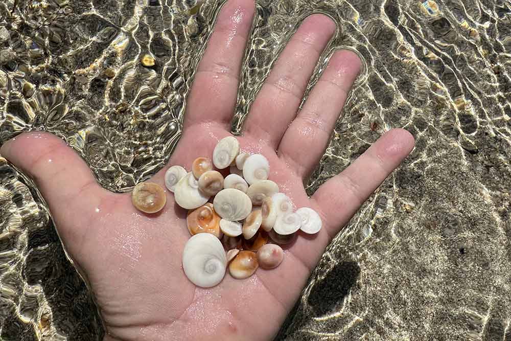 L'Œil de Sainte Lucie - Marie Trani est une jeune marque de bijoux fantaisie haut de gamme née en Corse à Bonifacio.