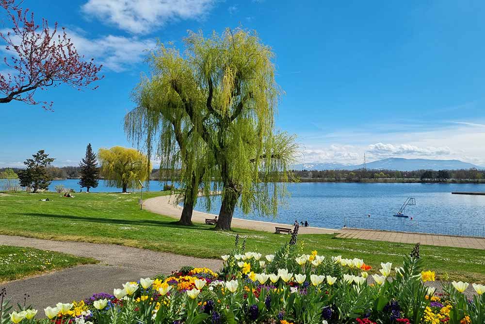 Divonne-les-Bains - Le Lac
