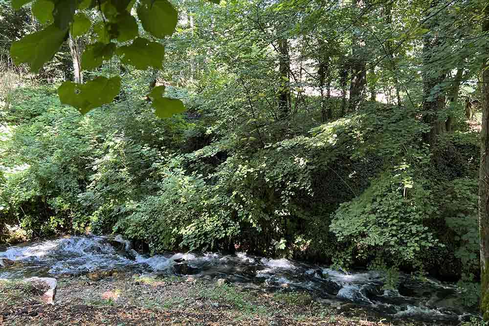 Divonne-les-Bains - La source Vidart devient un ruisseau.