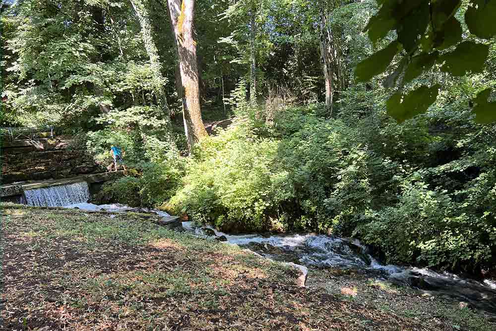 La source Vidart