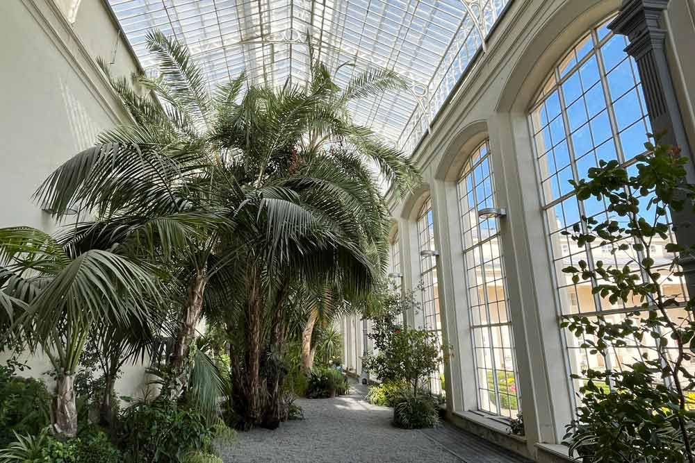 Kromeriz - Serre (Jardin de fleurs de Kromeriz)