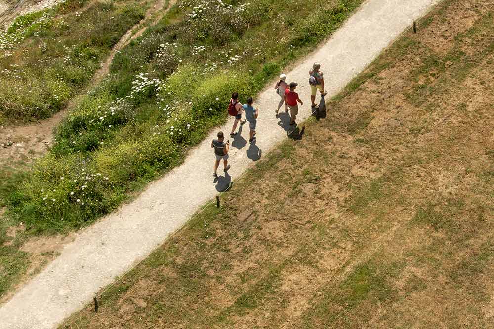Plaisirs - La nature a un effet positif sur la santé et le moral.
