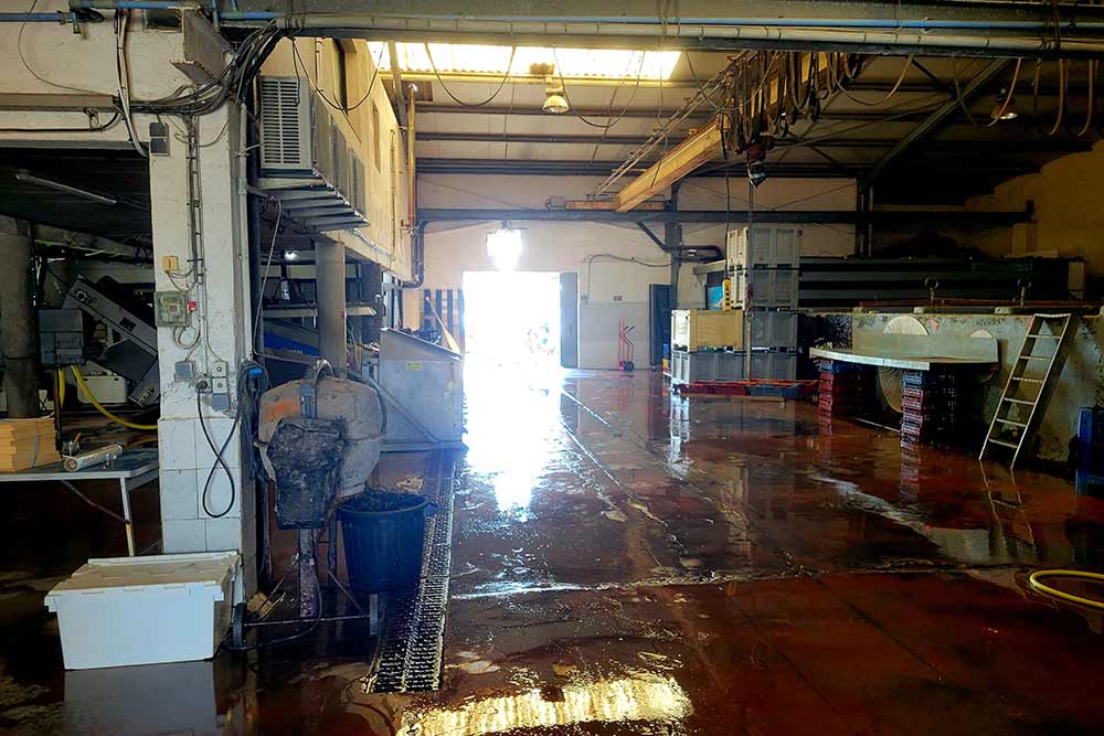 Etang de Thau - L’entrepôt du mas « Atelier & Co. »
