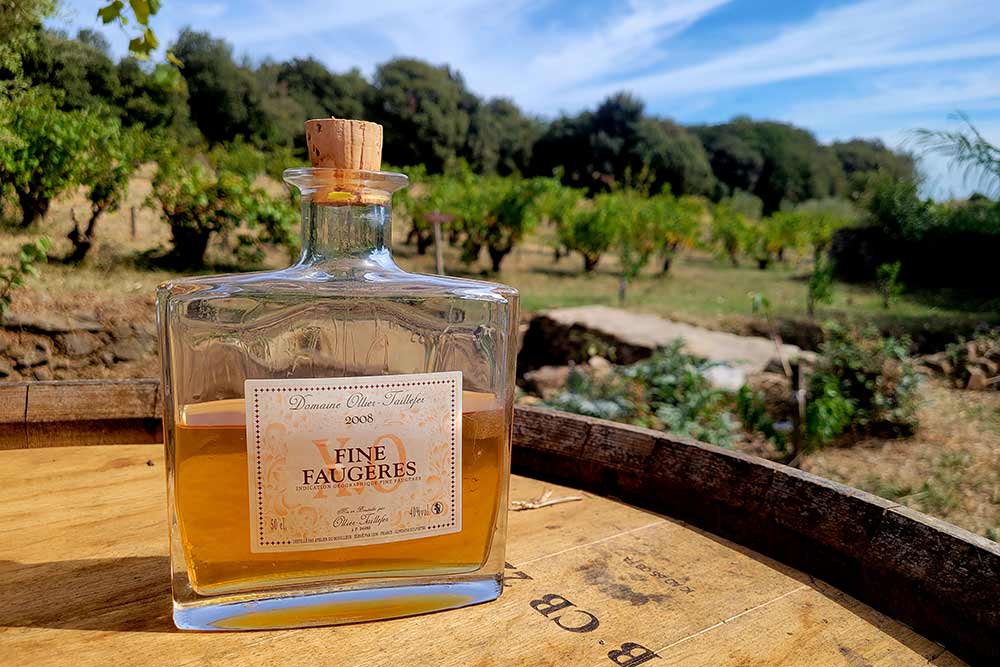 Une Fine Faugères élaborée par le Domaine Ollier-Taillefer. Une tradition depuis le XIXe siècle.