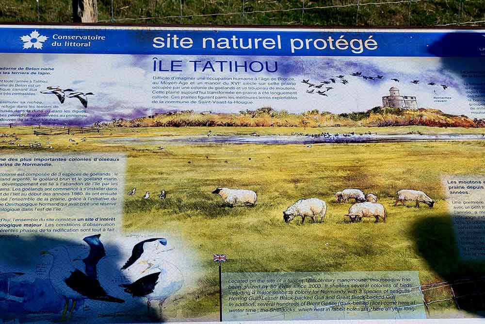 Tatihou - Un panneau explique la cohabitation des diverses espèces animales présentes sur l’île. 