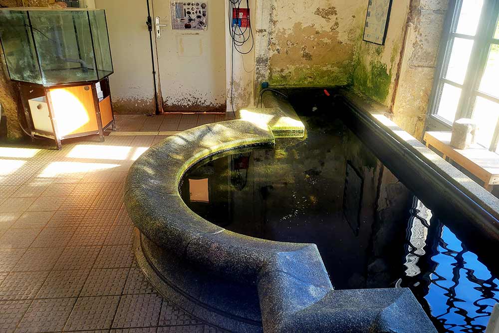 Une vue des bassins de la première station maritime française. 