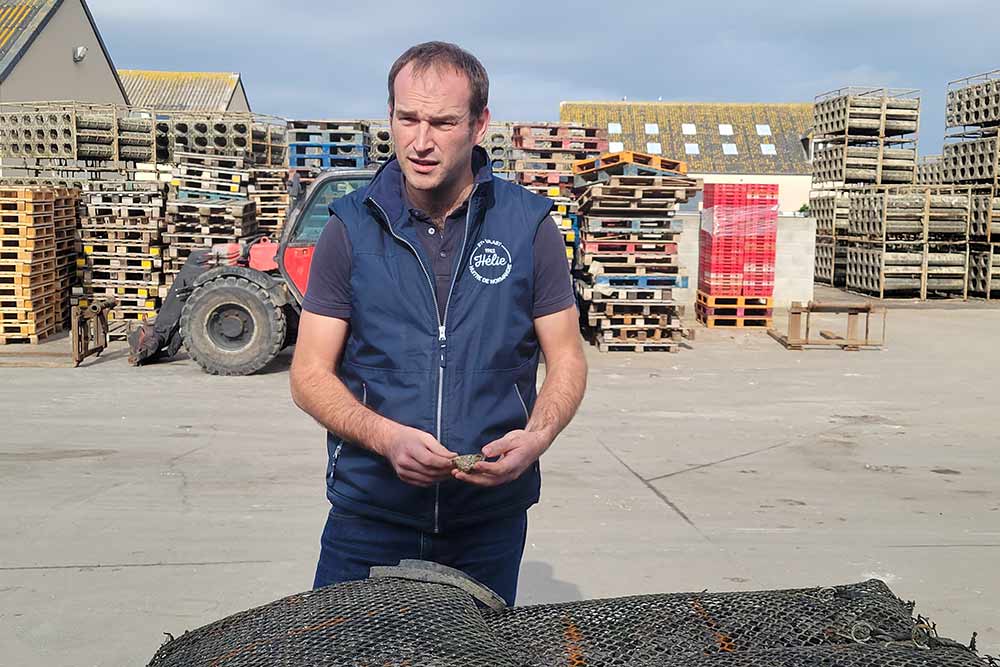 Tatihou - Grégoire, le directeur de la communication des Huitres Hélie explique le long travail nécessaire pour obtenir un coquillage de qualité.