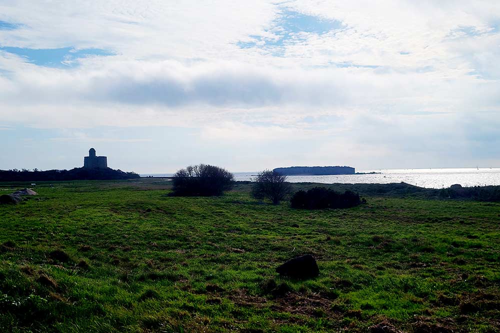  La végétation de l’île avec au fond les fortifications de la Tour Vauban